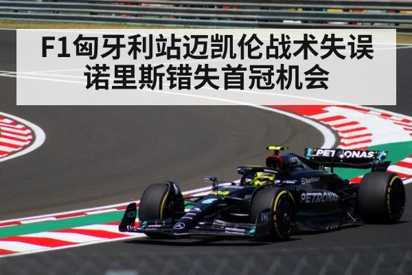 F1匈牙利站迈凯伦战术失误诺里斯错失首冠机会